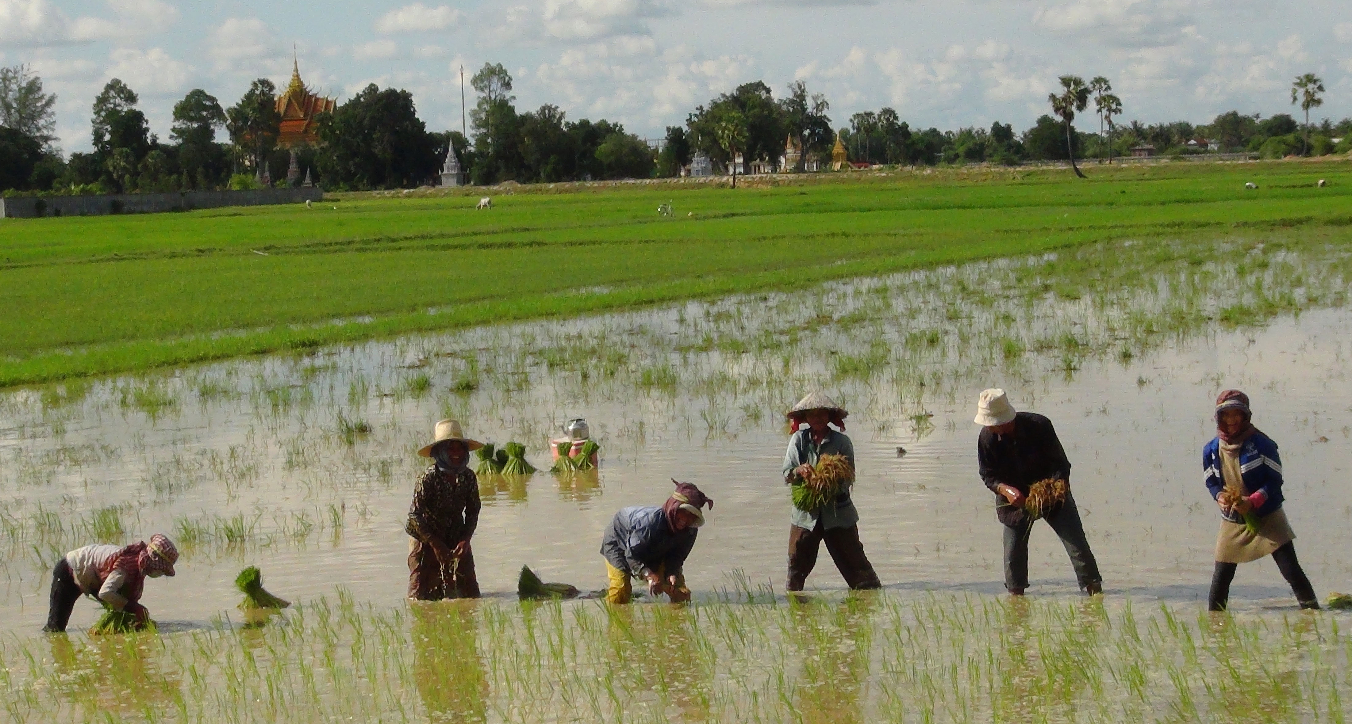 Battambang Economy